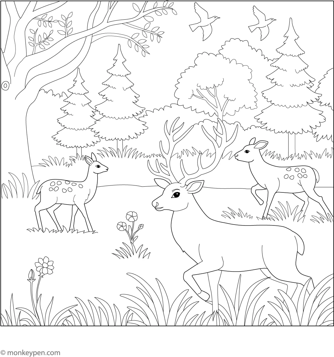 Wildlife Nature Reserves Coloring Page Wildlife Nature Reserves Coloring Page
