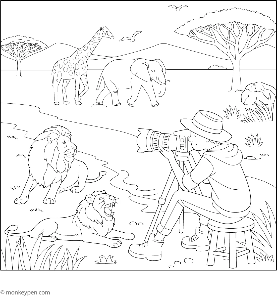 Wildlife Photography Coloring Page Wildlife Photography Coloring Page