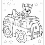 Close-up palette planning with Paw Patrol colors