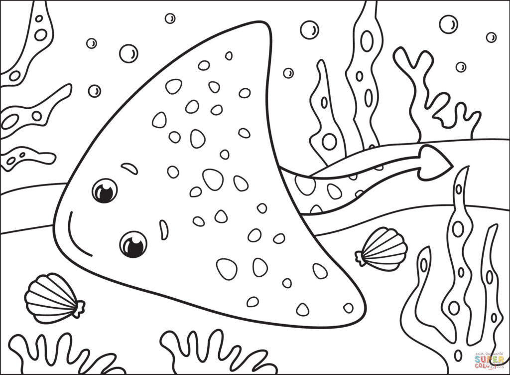 Detailed stingray outline with broad pectoral disc
